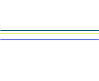 New Vision Logo